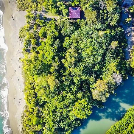 مبيت وإفطار Puerto Jiménez Punta Preciosa المظهر الخارجي الصورة