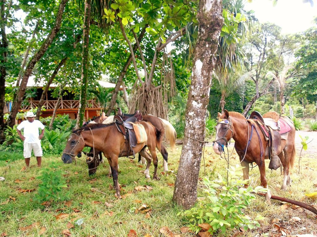 مبيت وإفطار Puerto Jiménez Punta Preciosa المظهر الخارجي الصورة