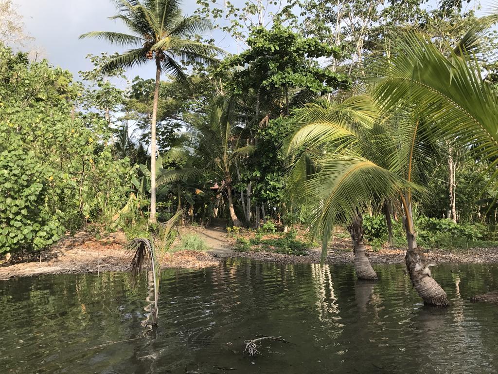 مبيت وإفطار Puerto Jiménez Punta Preciosa المظهر الخارجي الصورة