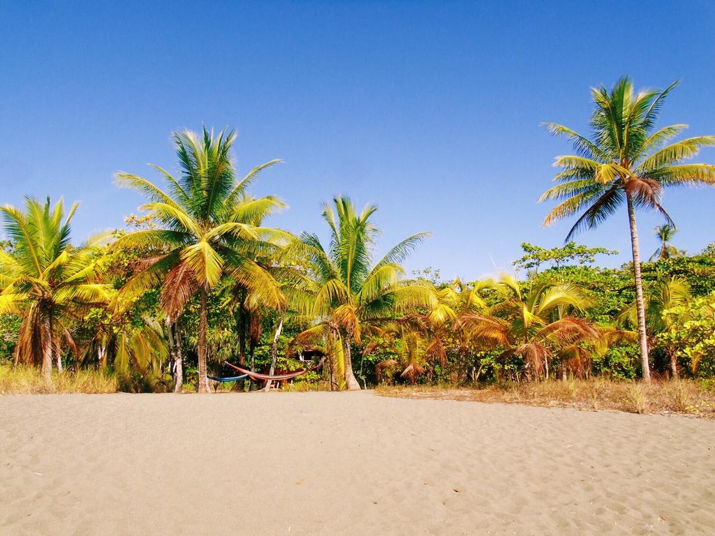 مبيت وإفطار Puerto Jiménez Punta Preciosa المظهر الخارجي الصورة