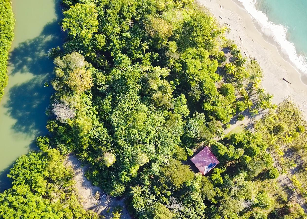 مبيت وإفطار Puerto Jiménez Punta Preciosa المظهر الخارجي الصورة