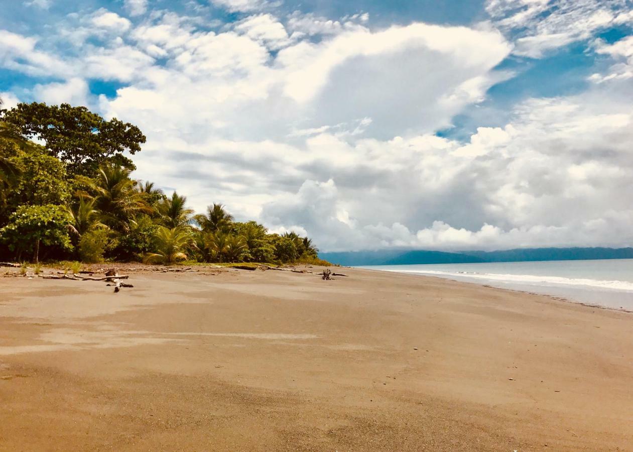 مبيت وإفطار Puerto Jiménez Punta Preciosa المظهر الخارجي الصورة
