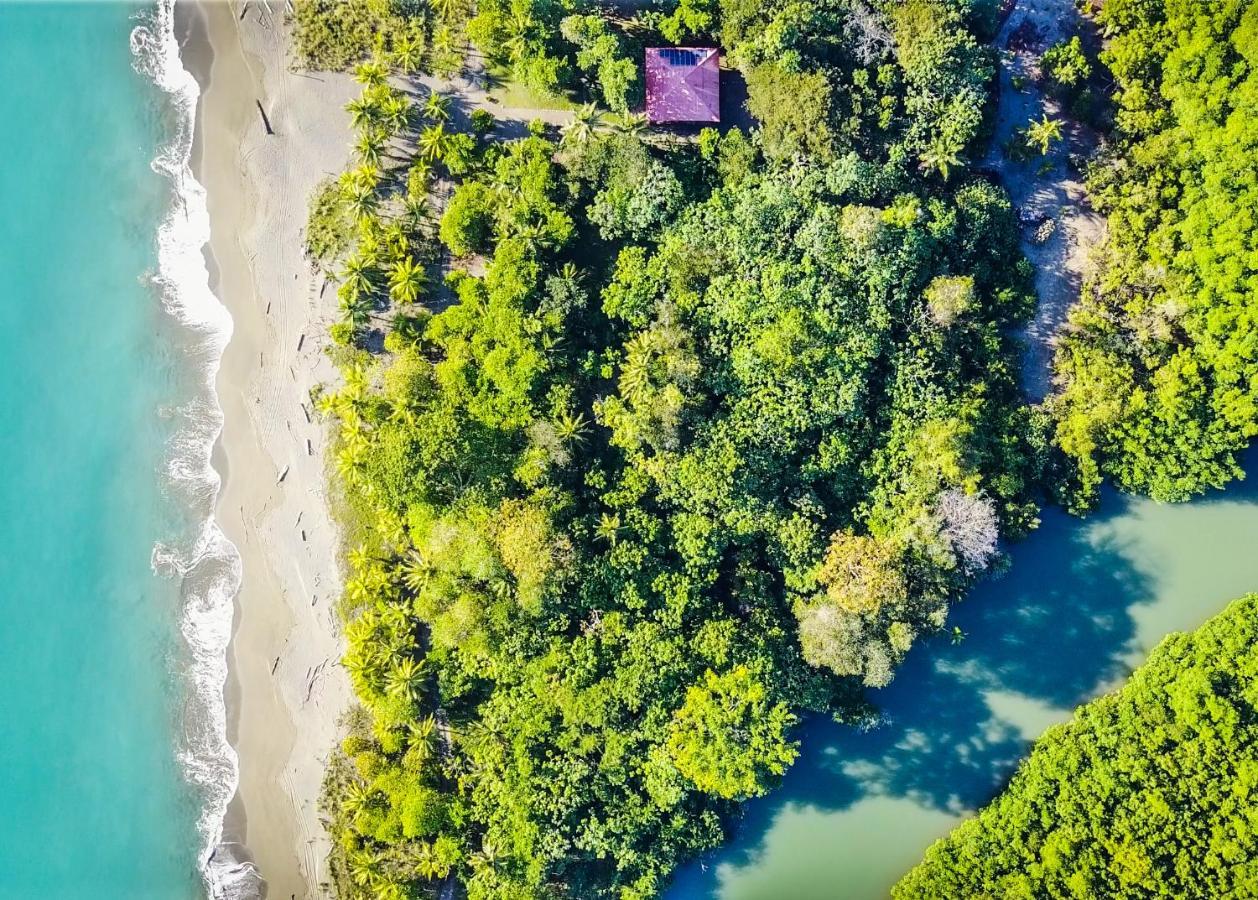 مبيت وإفطار Puerto Jiménez Punta Preciosa المظهر الخارجي الصورة